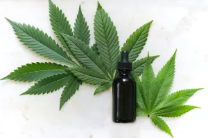 cbd oil 10